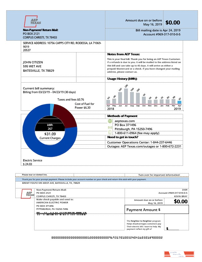USA AEP Texas electricity utility bill template in Word and PDF format